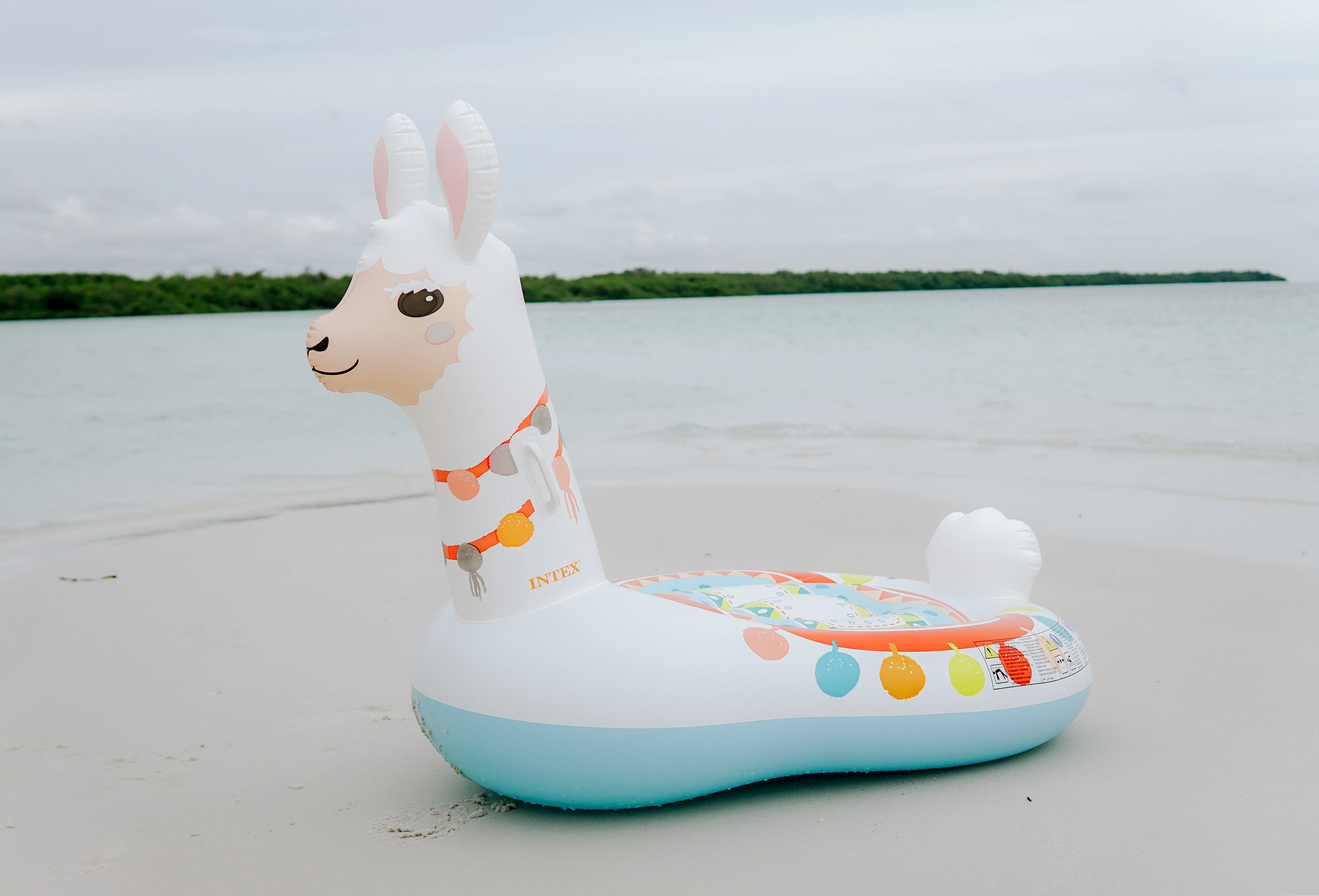 Ocean Floaties