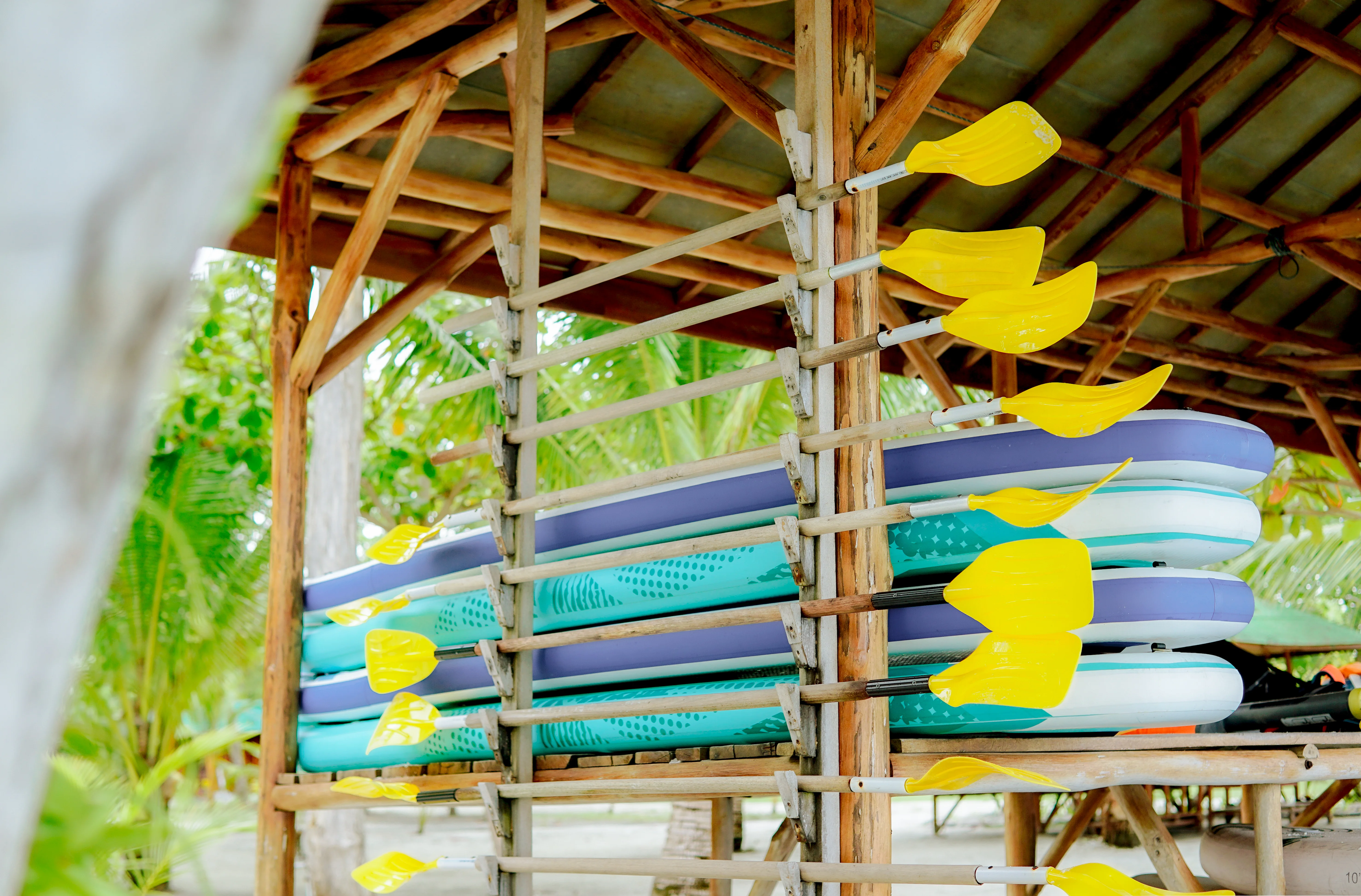 Stand Up Paddle
